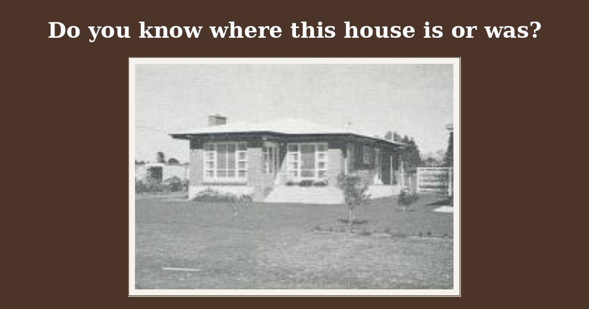 Can you help solve the mystery?
