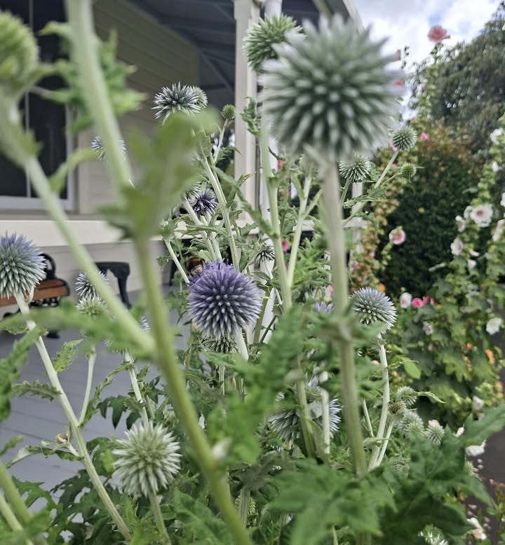 Can you spot the little furry bum ?